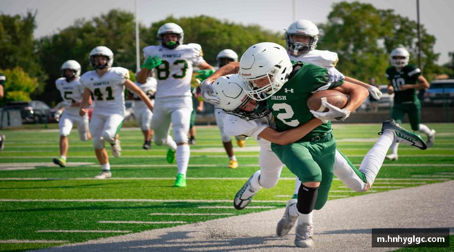 解析lehu乐虎国际